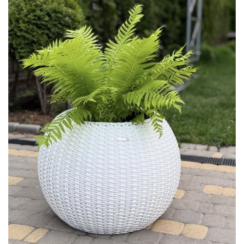 Кашпо из ротанга «Clay»